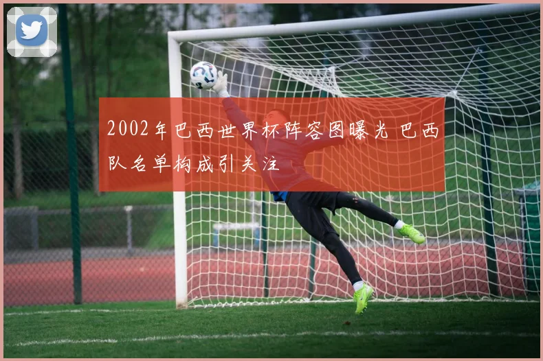 2002年巴西世界杯阵容图曝光 巴西队名单构成引关注