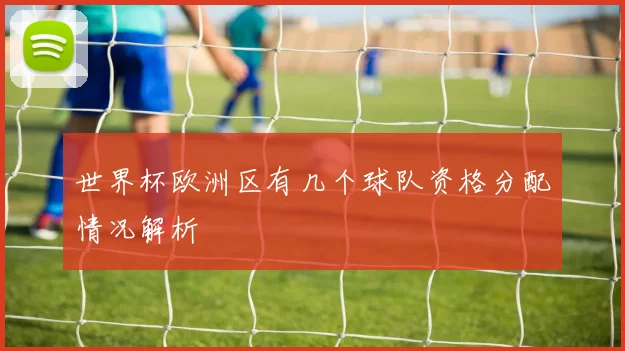 世界杯欧洲区有几个球队资格分配情况解析