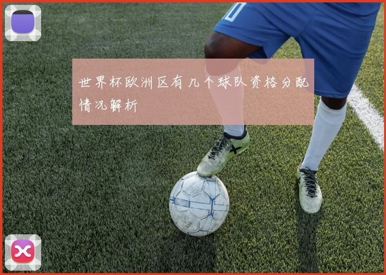 世界杯欧洲区有几个球队资格分配情况解析