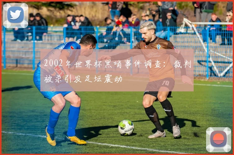 2002年世界杯黑哨事件调查：裁判被杀引发足坛震动