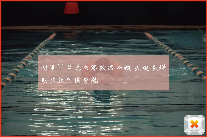 特里11年总决赛数据回顾 关键表现助力独行侠夺冠