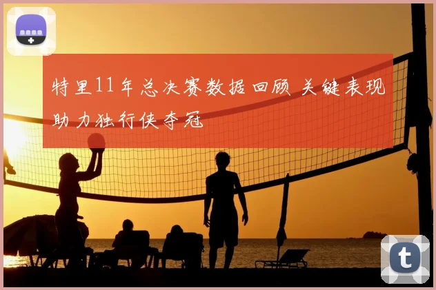 特里11年总决赛数据回顾 关键表现助力独行侠夺冠