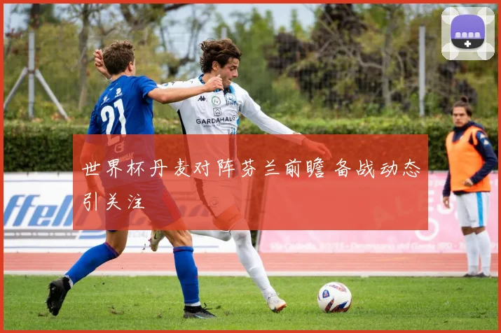 世界杯丹麦对阵芬兰前瞻 备战动态引关注