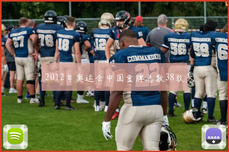 2012年奥运会中国金牌总数38枚